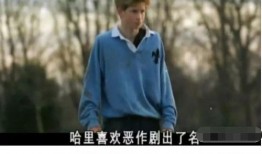 王子夫妻爆料视频,揭秘娱乐圈背后的惊人真相